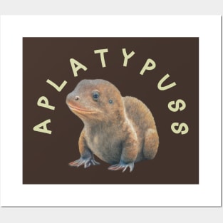 aplatypus Posters and Art